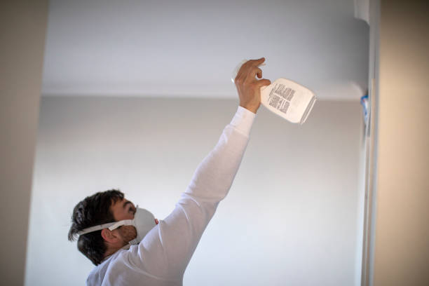 Best Post-Remediation Services in Chamberlayne, VA