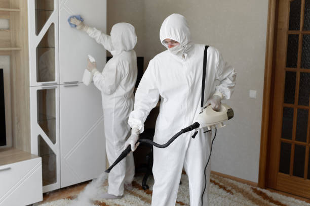 Best HVAC Mold Remediation in Chamberlayne, VA