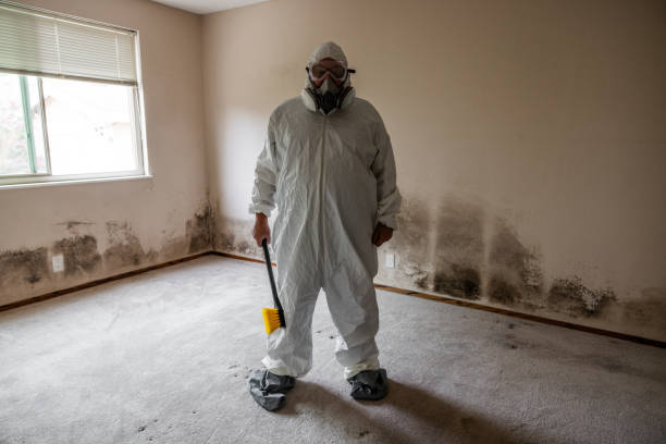 Best Post-Remediation Services in Chamberlayne, VA
